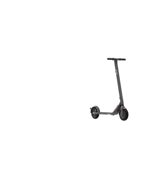 SEGWAY Ninebot KickScooter E25E