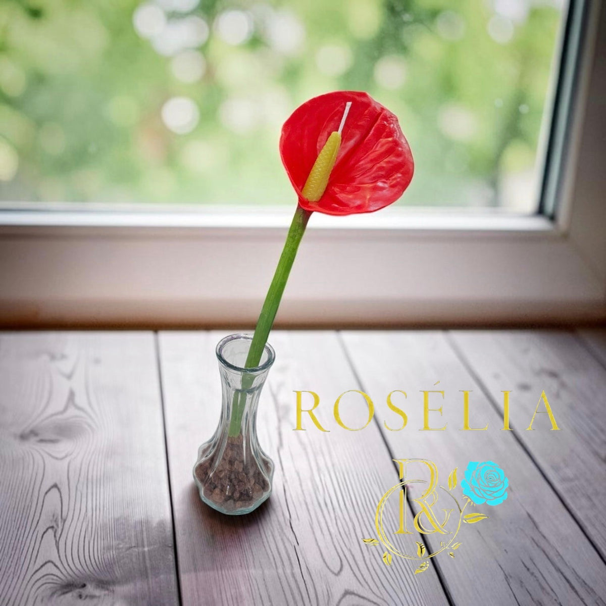 Antoryum Çiçek Mum | Rosélia