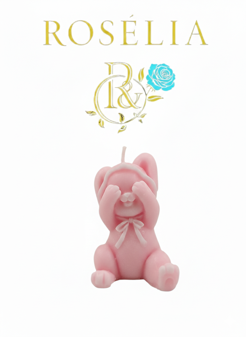 Neşeli Oyuncu Tavşan 