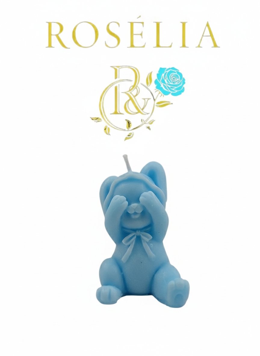 Neşeli Oyuncu Tavşan 