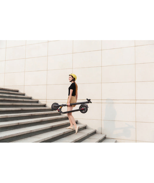 SEGWAY Ninebot KickScooter E25E