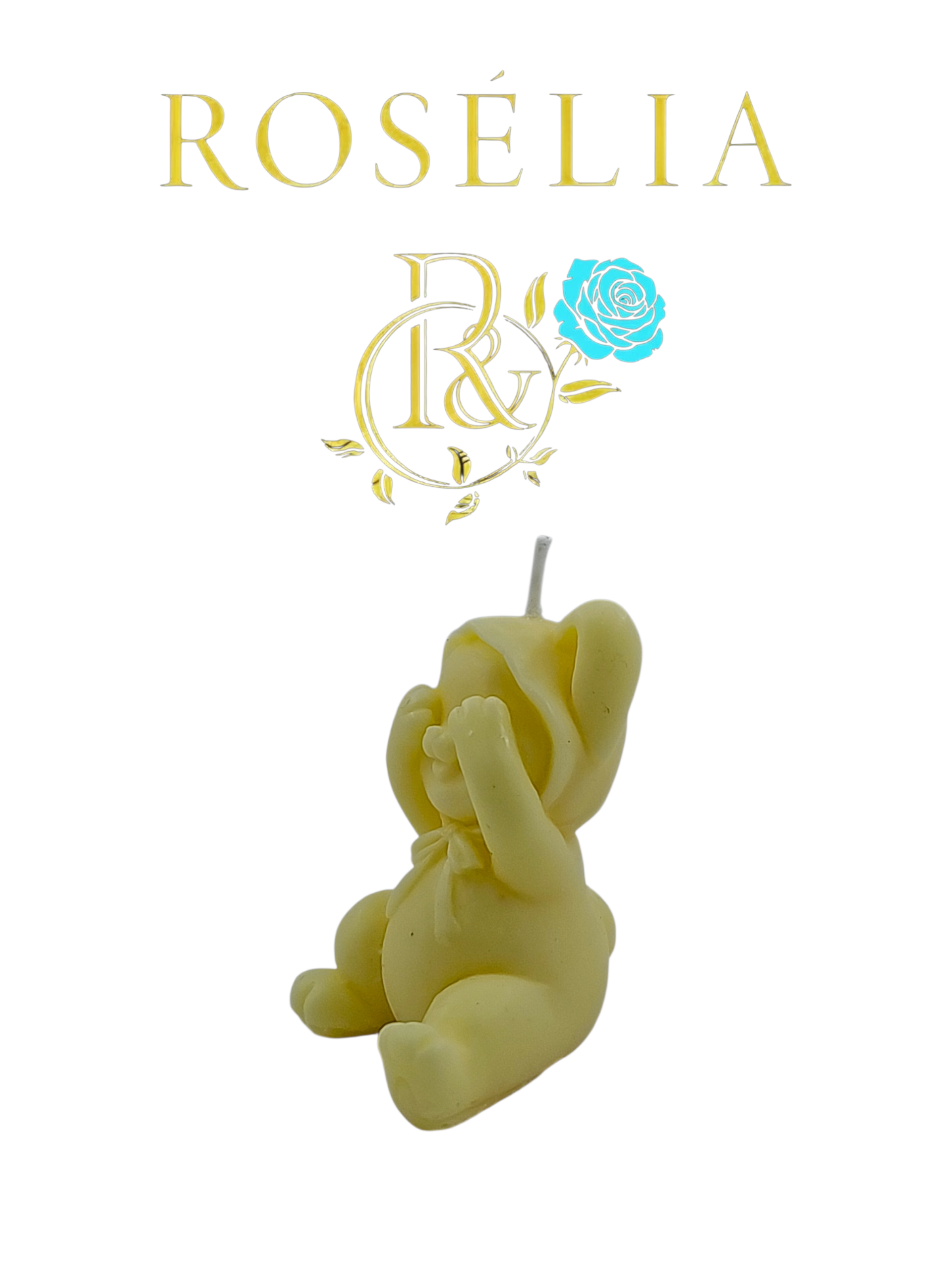 Neşeli Oyuncu Tavşan 