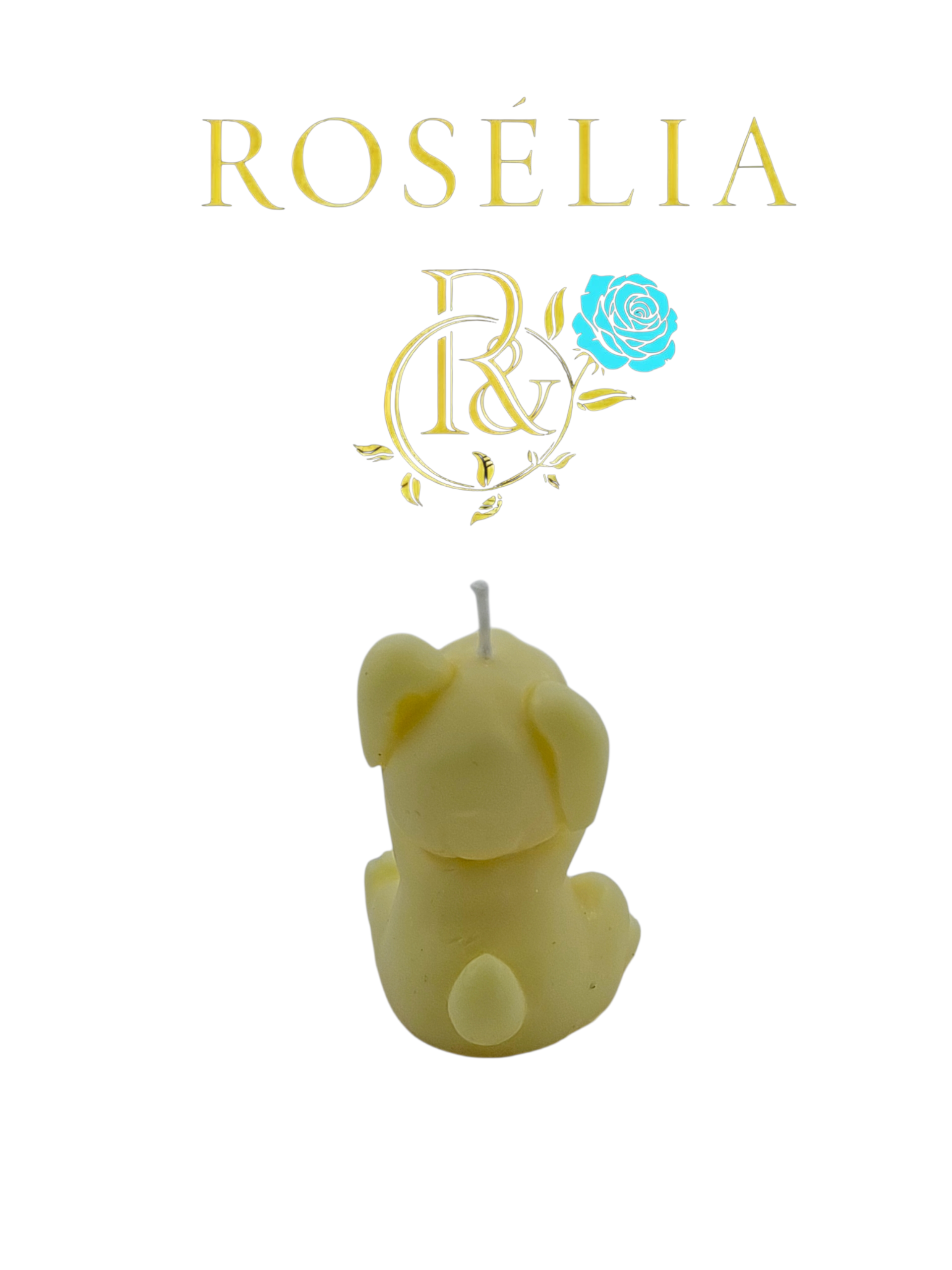 Neşeli Oyuncu Tavşan 