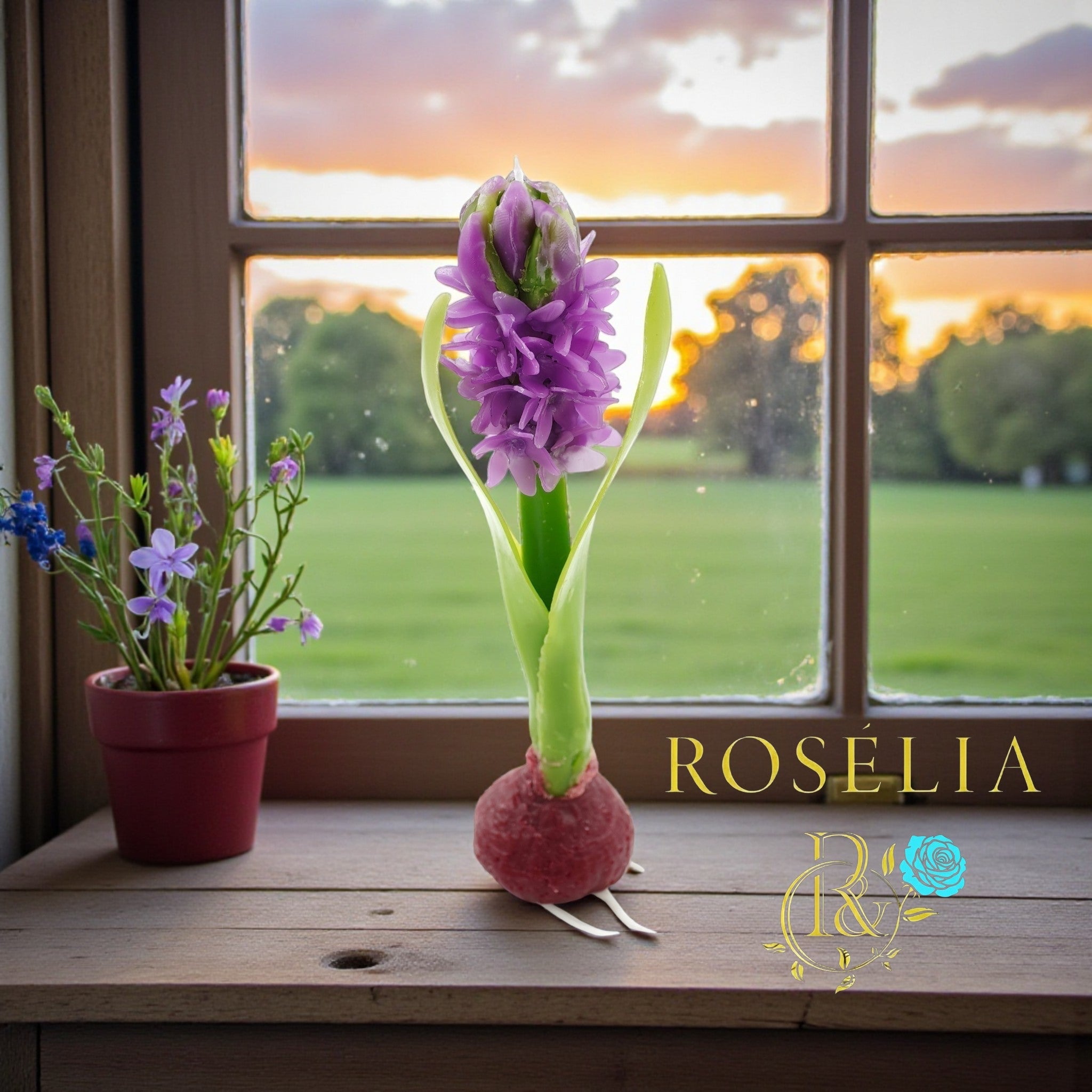 Gerçek Bir Sanat Eseri: Rosélia Sümbül Mumu 💜