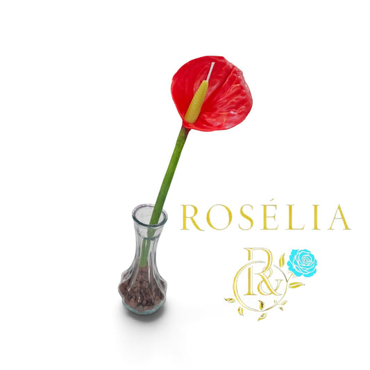 Antoryum Çiçek Mum | Rosélia