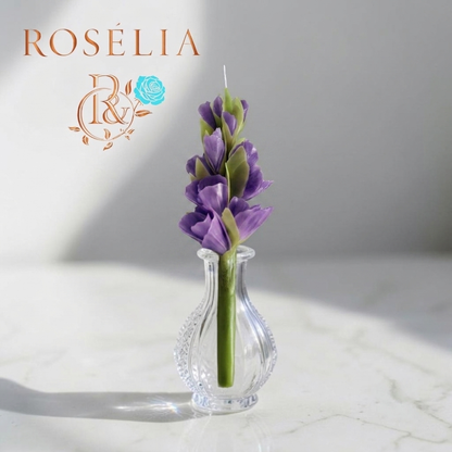 Glayör Çiçek Mum | Rosélia