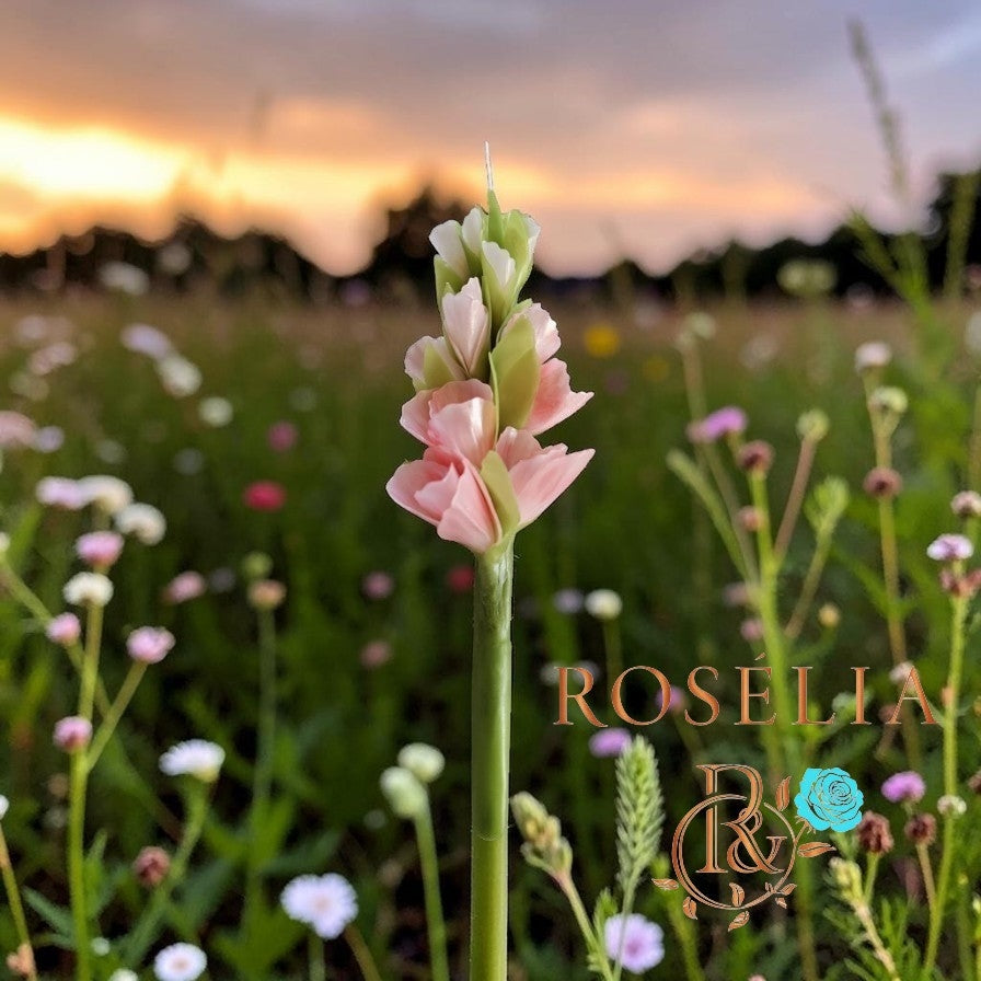 Glayör Çiçek Mum | Rosélia