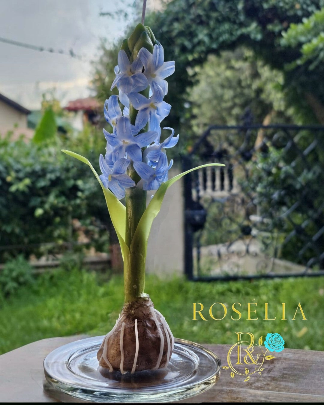 Gerçek Bir Sanat Eseri: Rosélia Sümbül Esnek Çiçek Mumu 💜